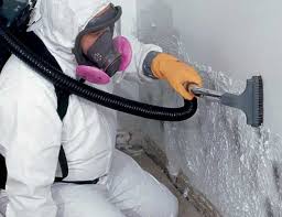 Why You Should Choose Our Mold Remediation Services in Brookings, OR